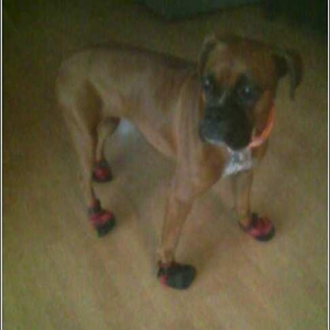 Skeeters rain boots