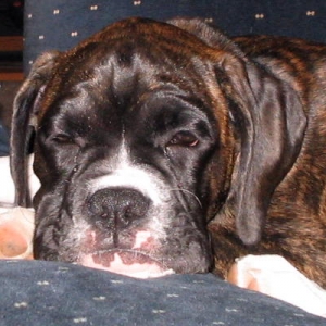 Sleepy_Baby_