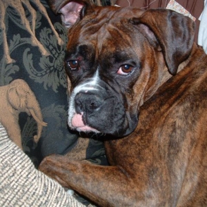 bummed-out_roxy