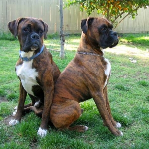 lean on me