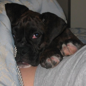 But mommy, you're so comfortable