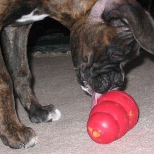 Hours of entertainment await!