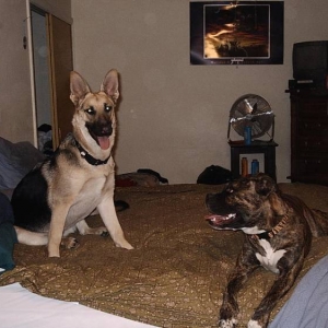This is OUR bed!!
