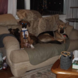We rule the roost!