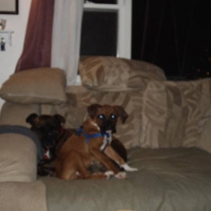 Major Pain sitting on Cassius