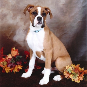 1st Professional photoshoot