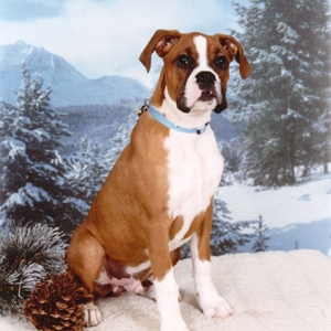 Professional pic #2