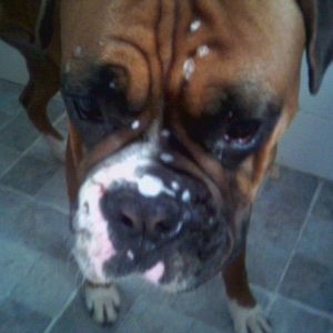 shower gel face