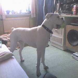Bailey at 7 months
