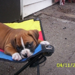 Ares April 11,2005