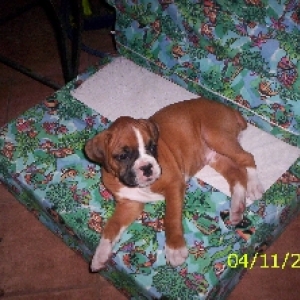 Ares April 11,2005