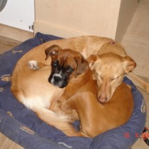 Big Hug