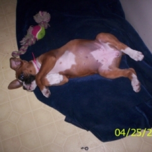 Ares being goofy