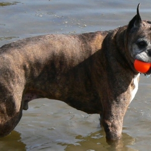 Markus Enjoying the Water