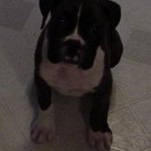 I'm So cute!