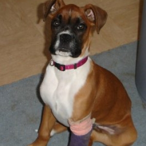 Yes Mum im listening