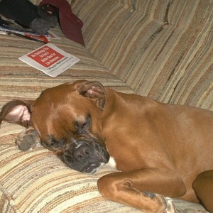 tired