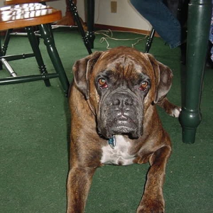 My Cooper
