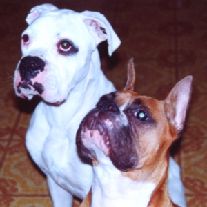 Dylan and Zander