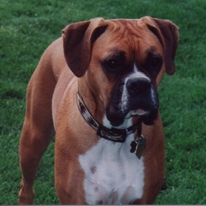 Tallie @ 16 months