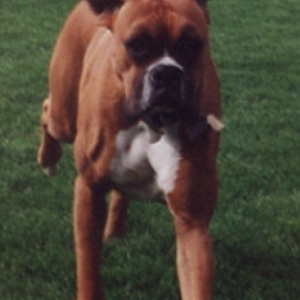 Tallie