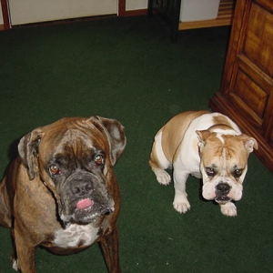 Cooper & Emma