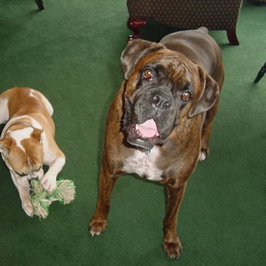 Cooper & Emma