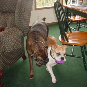 Cooper & Emma