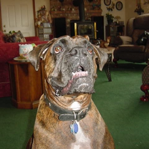 Cooper