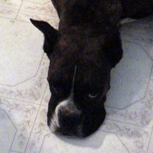 Pru resting