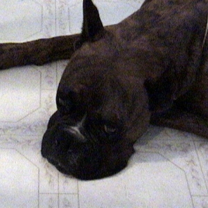 Sleepy Tyson