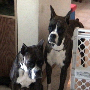 Pru and Buck
