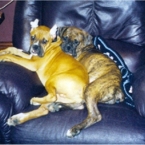 Max & Dakota snugglin