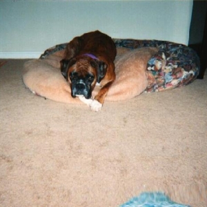 Trying out my bed