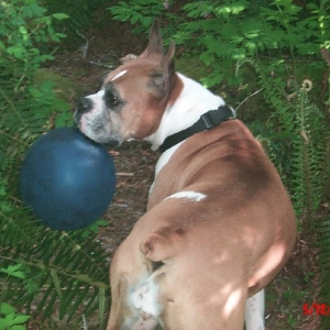 Walking with her balloon