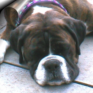 I love dozing!!!!!!!!