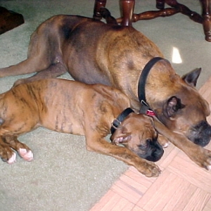Max & Dolly