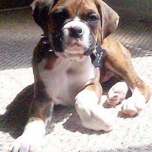 Bubba "Joe" Jr.