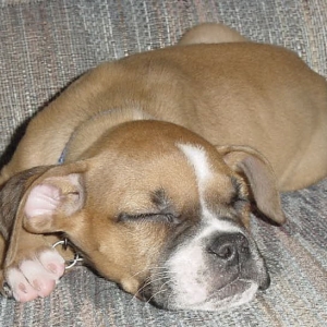 AHH!  Nap Time!