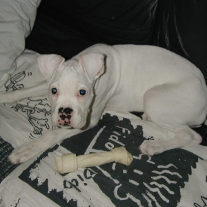 14 Weeks