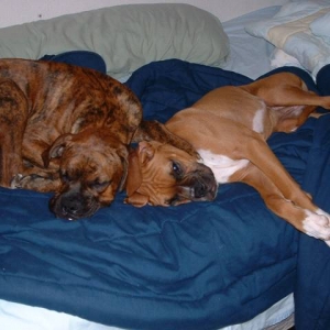Sleepy Time