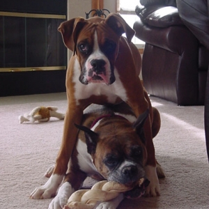 Rudy's Favorite Place to sit