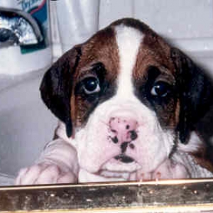 Baby Zoe's first bath