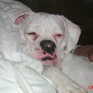 Sweet dreams, cuddly girl!