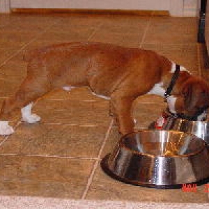 Dinner Time