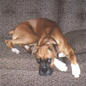 Mom, I am tired of all the pictures