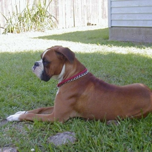 Sammi 12 months