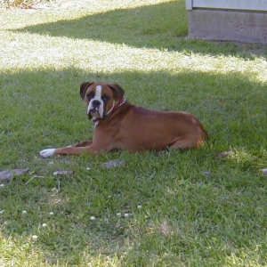 Sammi 12 months