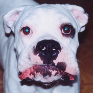 Zander with his lips stuck