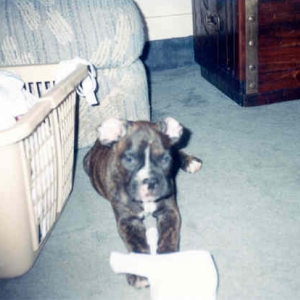 Max